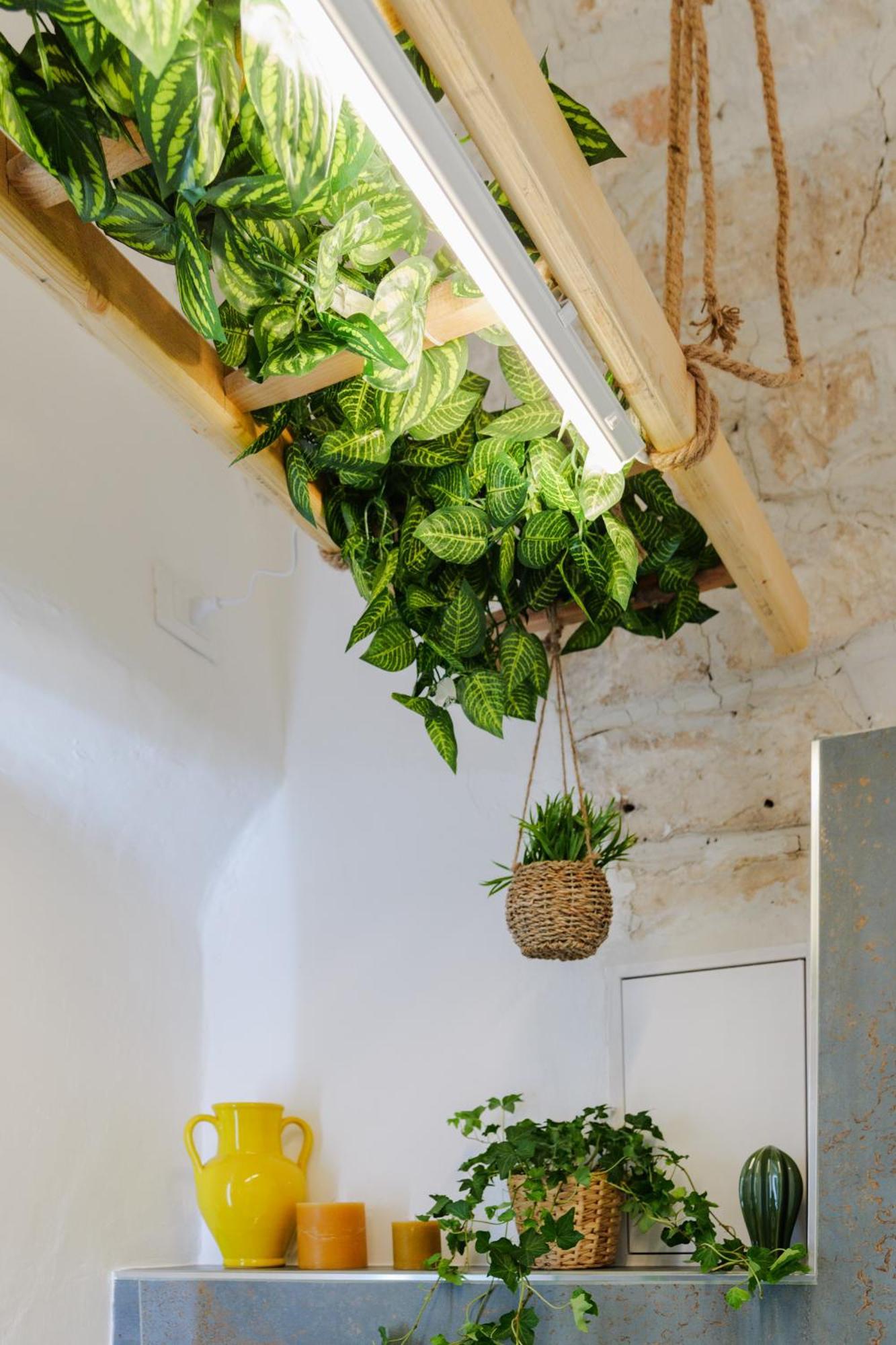 Dimora Lavinia Casa Vacanze Centro Storico Ostuni Exterior photo